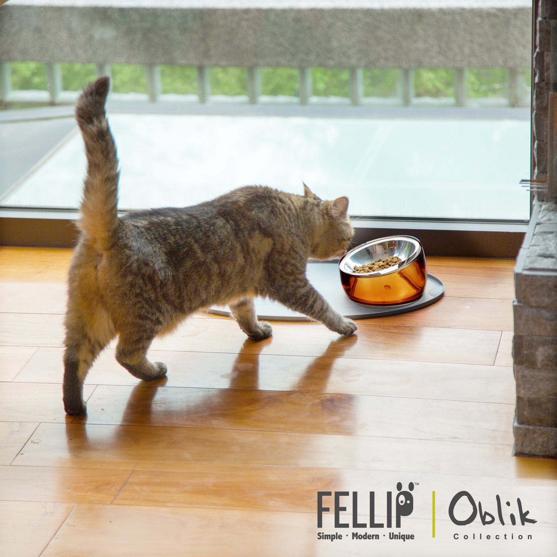 Oblik Shallow Pet Bowl Bundle - Felli Official