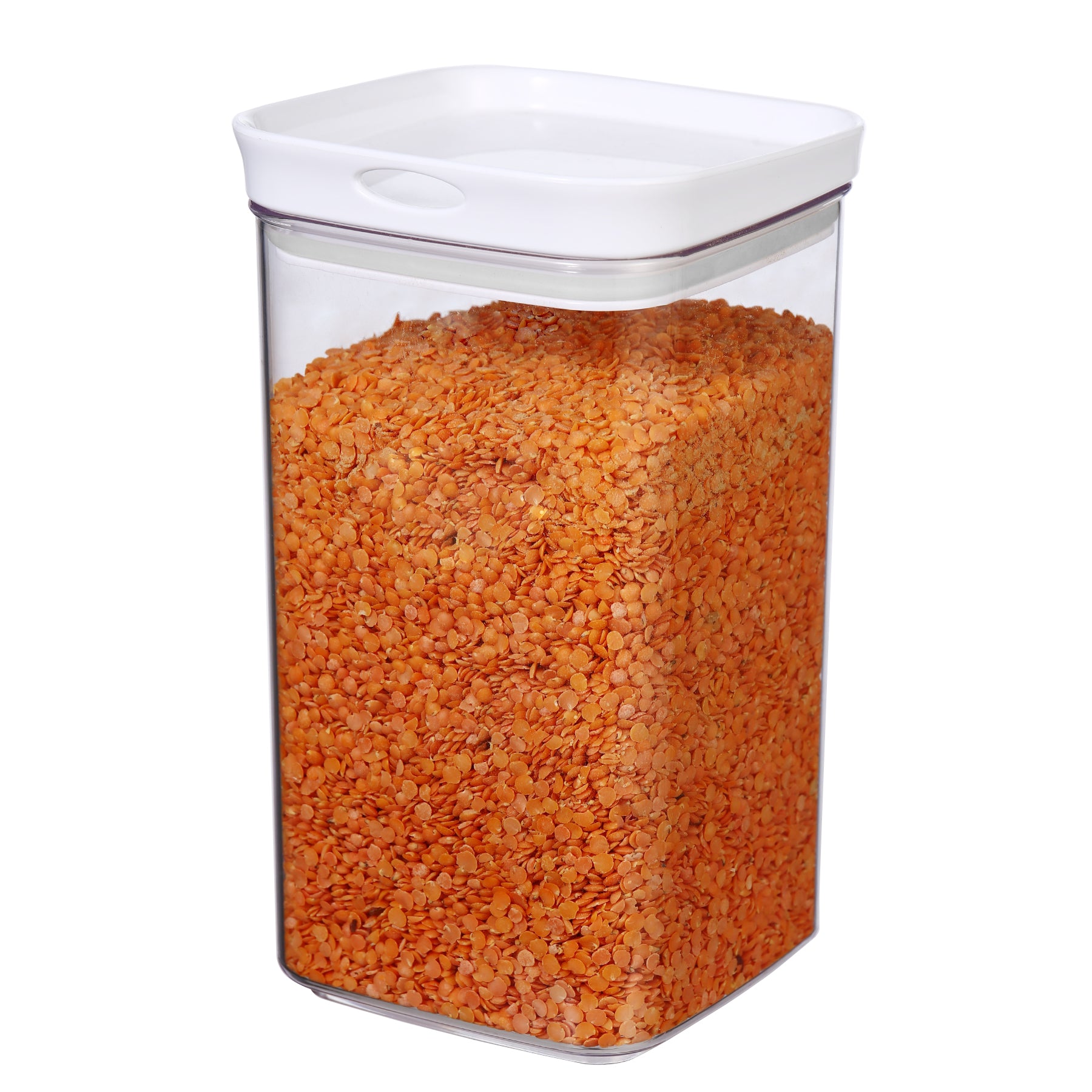 Flex N Stor 5" Large-L 2.5QT/2.4L - Felli Official