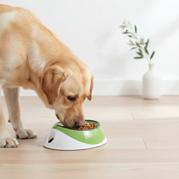 UFO Pet Bowl - 12.5 oz
