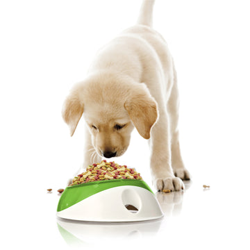 UFO Pet Bowl - 12.5 oz - Felli Official