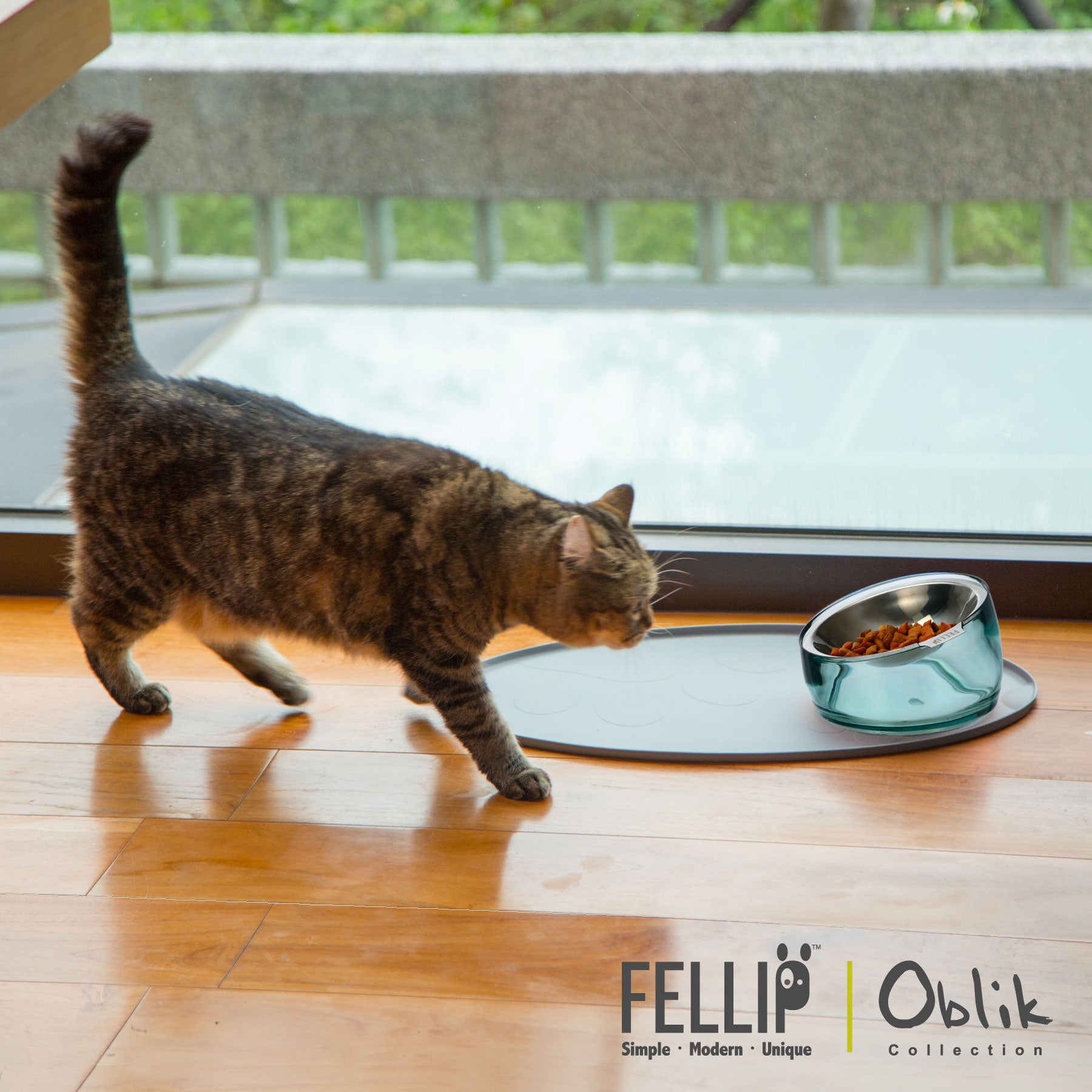 Oblik Shallow Pet Bowl Bundle - Felli Official