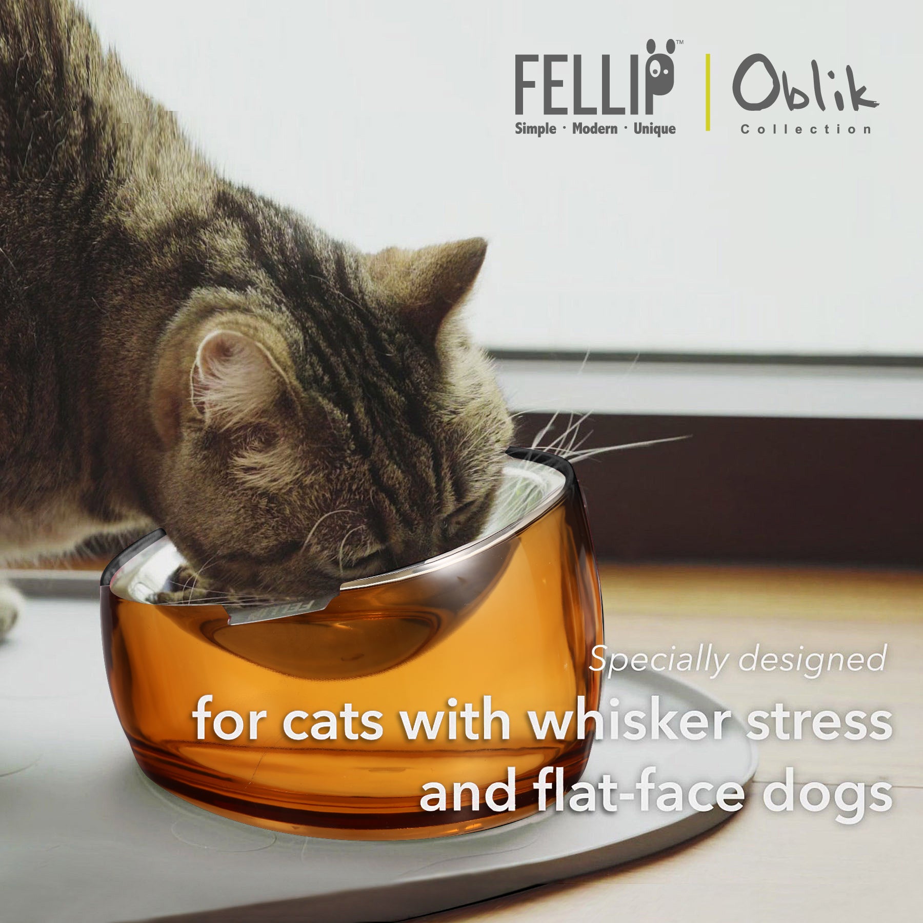 Oblik Shallow Pet Bowl Bundle - Felli Official