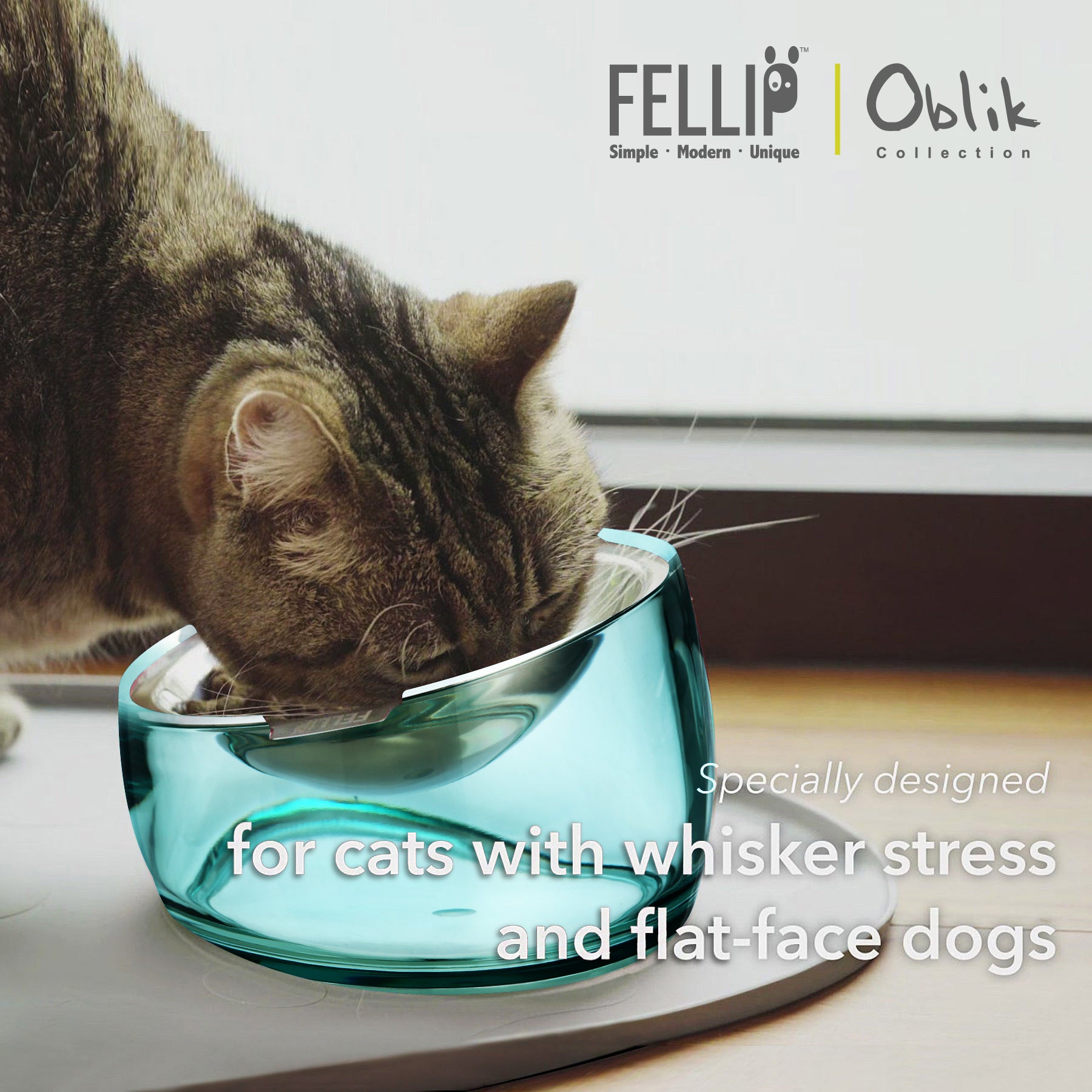 Oblik Shallow Pet Bowl Bundle - Felli Official