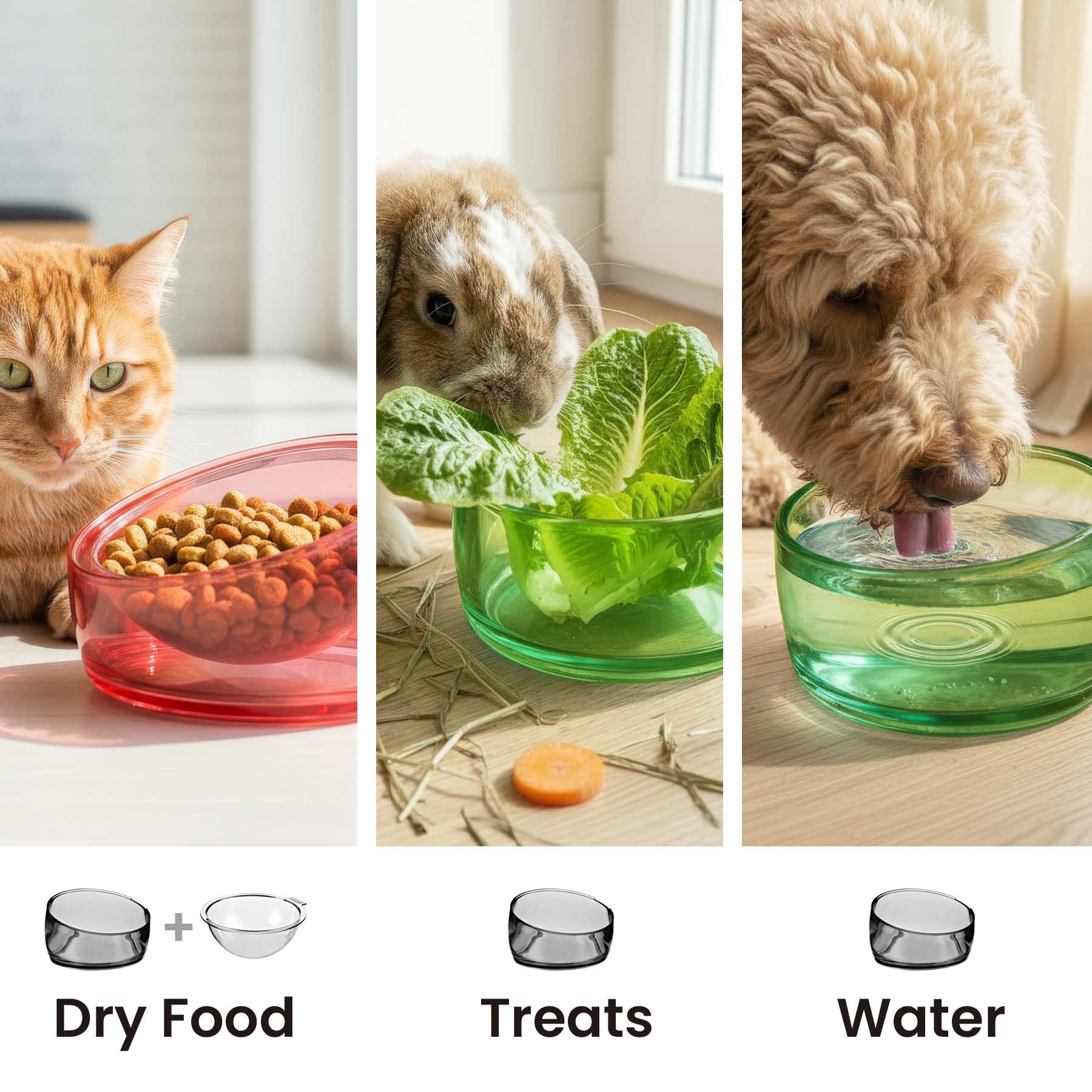 Felli Pet Oblik Food Bowl - 1.5 Cup Supreme