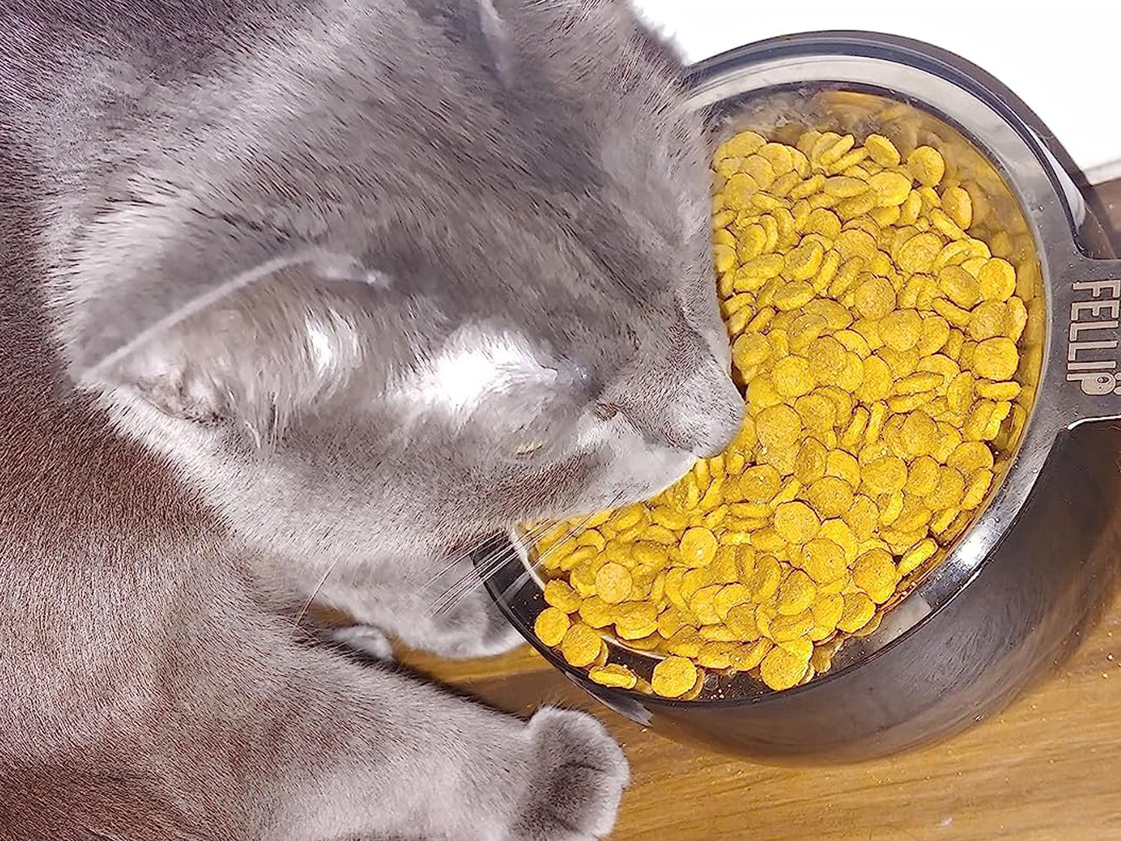 Felli Pet Oblik Shallow Anti Whisker Fatigue Pet Food Bowl Bundle