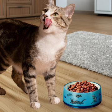 Duo World Pet Bowl - Quirky Cat - 1.25 Cup