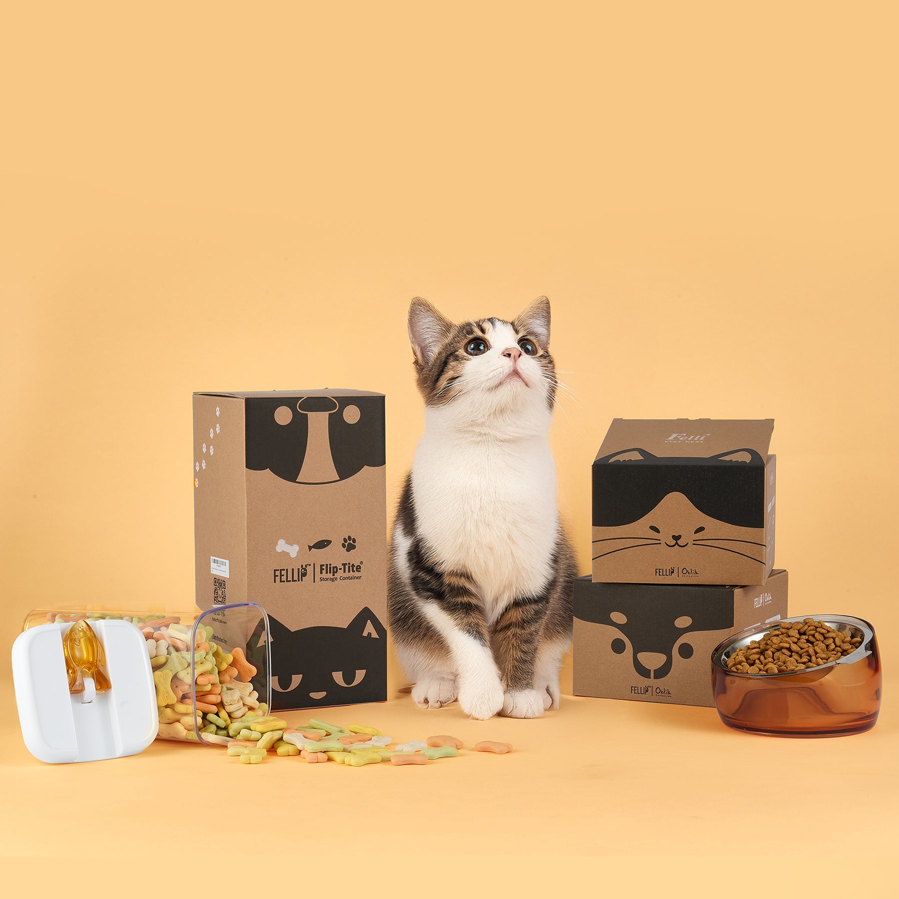 Felli Flip Tite Container for Pet Food & Treats Storage for Cat Dog
