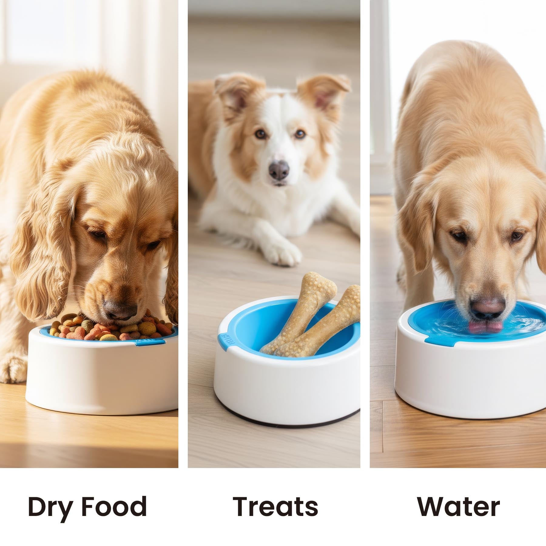 Kaleido Supreme Pet Bowl - 1.5 Cup