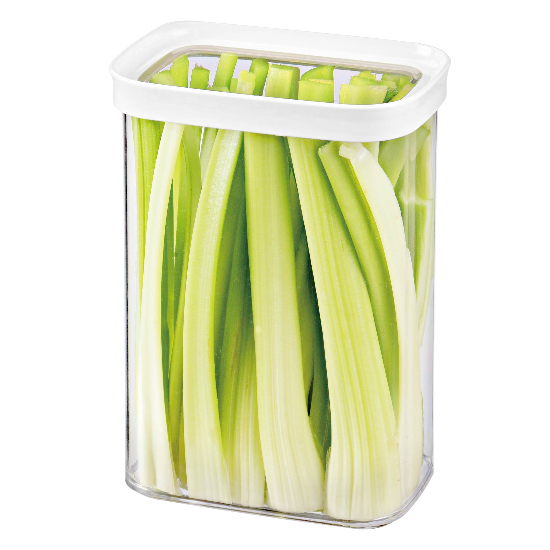 Loc Tite Container Regular-L 2.3QT / 2.2L - Felli Official