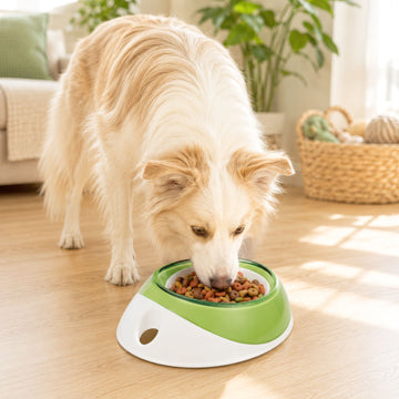 UFO Pet Bowl - 12.5 oz