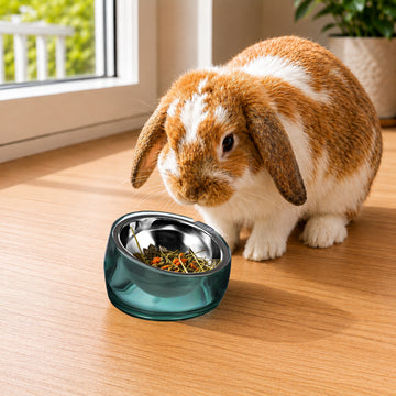 Oblik mini Pet Bowl - 0.75 Cups