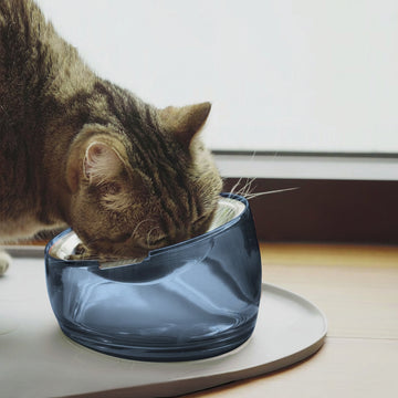 Oblik Shallow Pet Bowl - 0.5 Cup