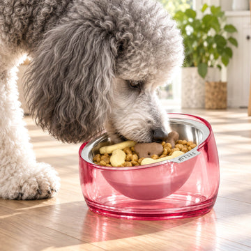 Oblik Oval Pet Bowl - 1.5 Cup