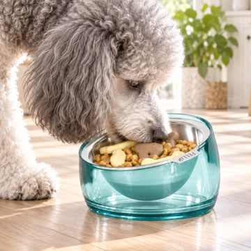 Oblik Oval Pet Bowl - 1.5 Cup