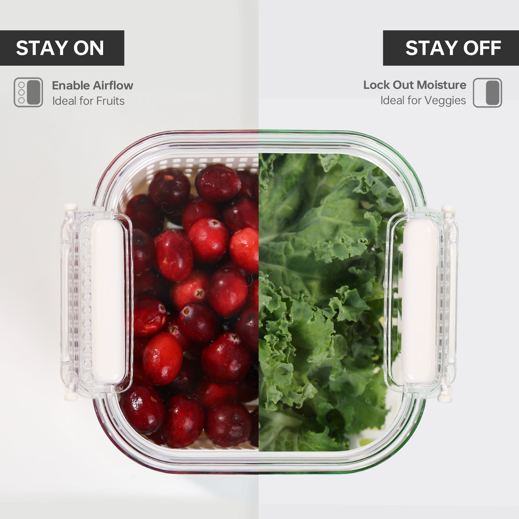 Felli Duo Fresh Produce Saver - Fruit Container - Medium 2.4L / 2.5qt