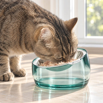 Oblik Shallow Pet Bowl - 0.5 Cup