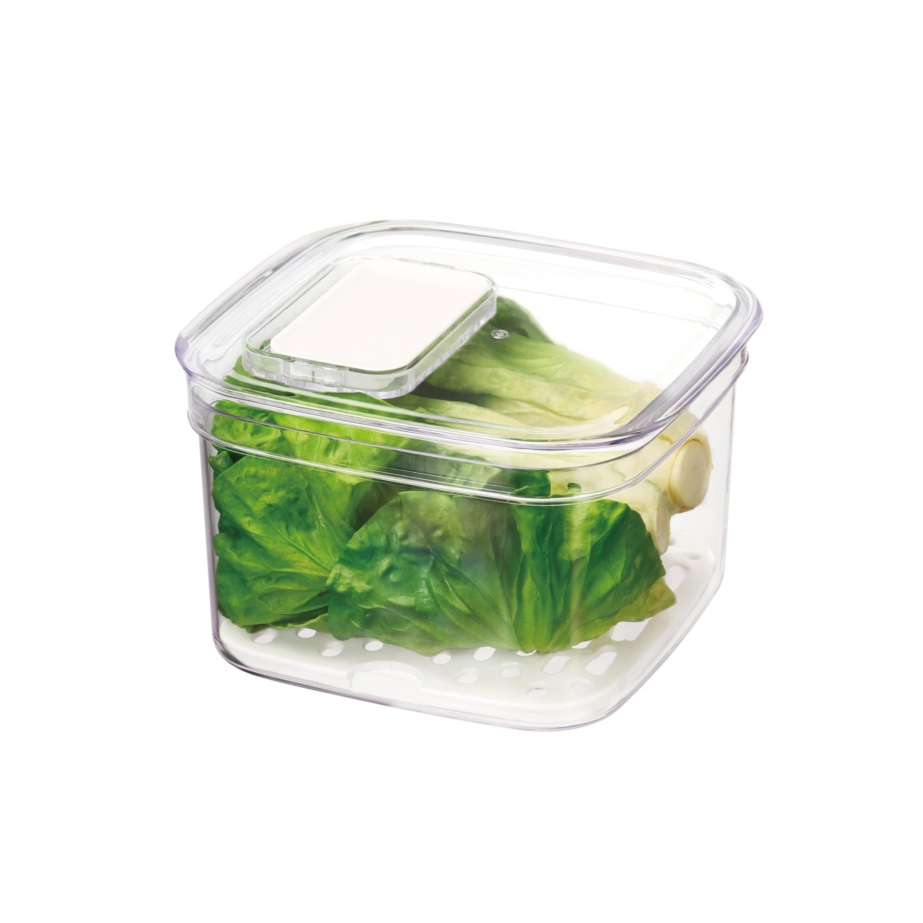 Duo Fresh Veggie Keeper - Small - Felli Official