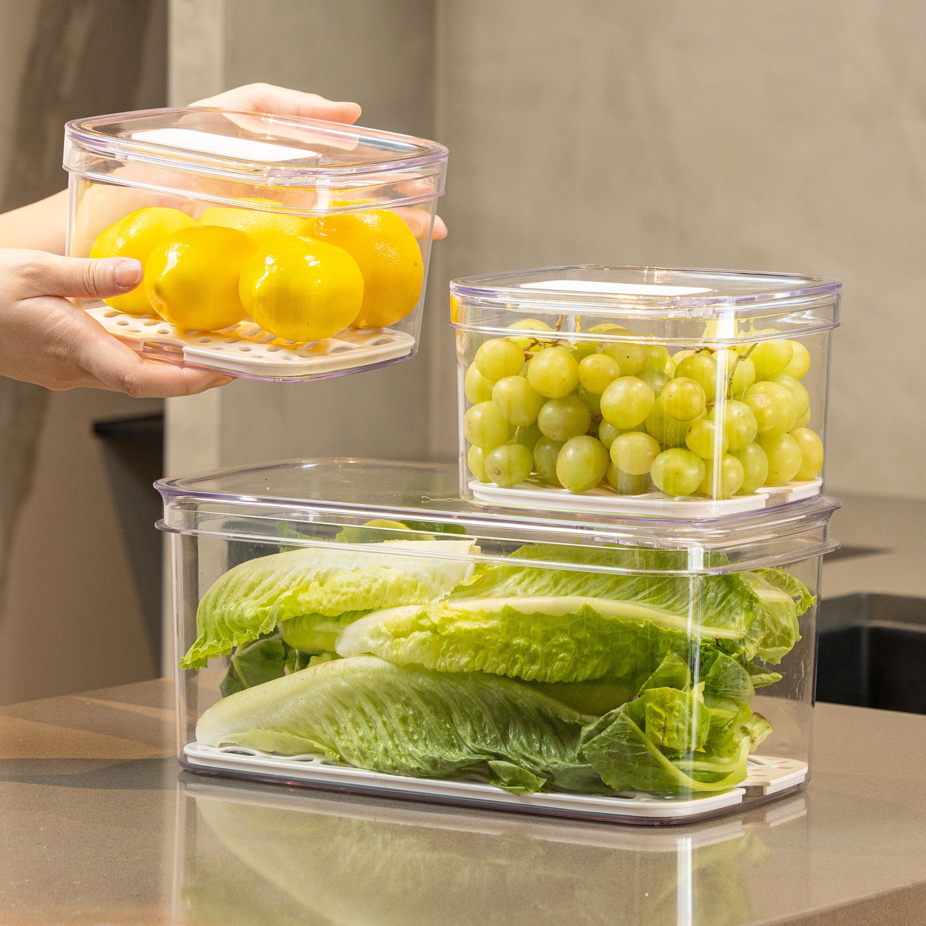 Felli Fresh Longer Veggie Keeper for Fridge Storage Variety Set 3pk