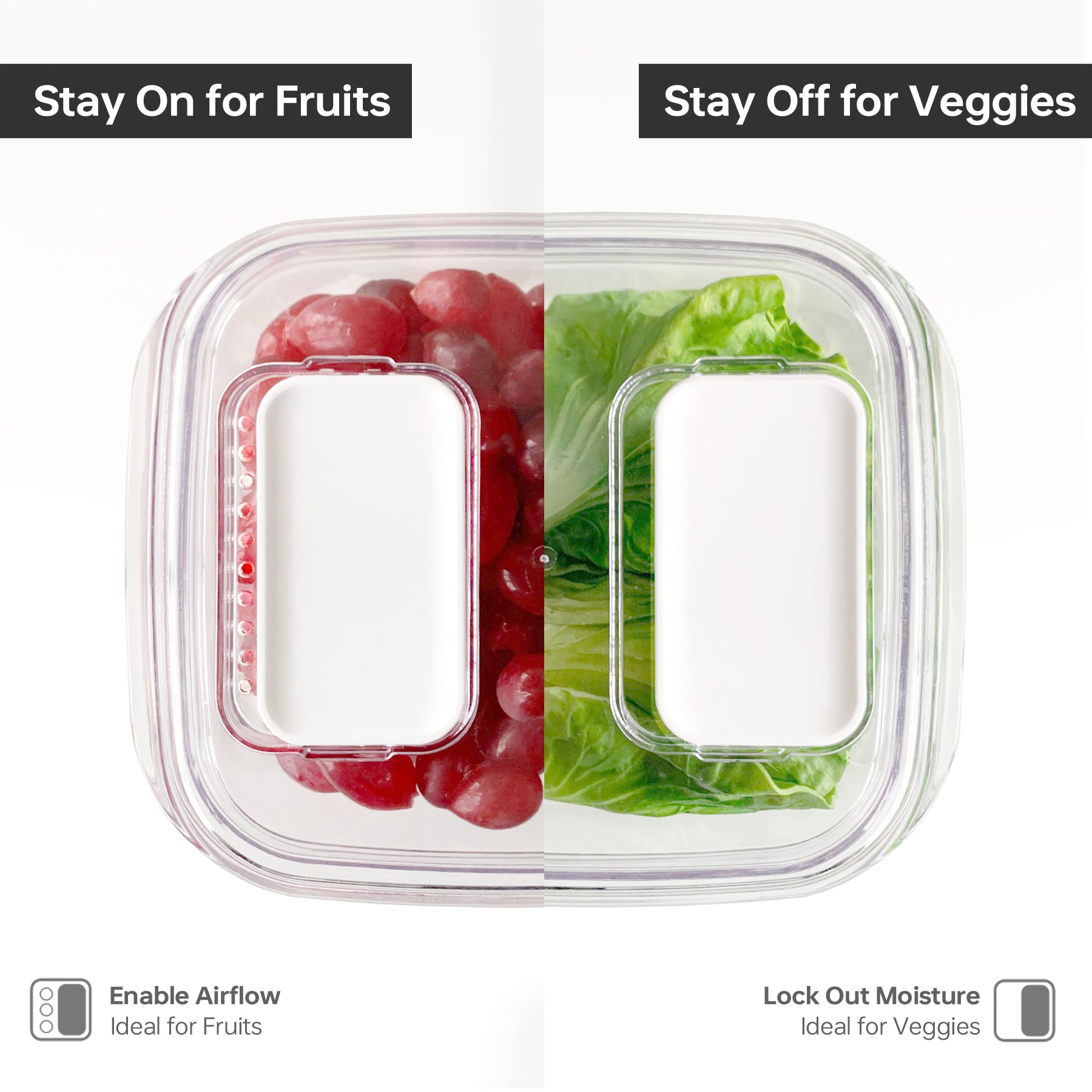 Duo Fresh Veggie Keeper - Large - Felli Official
