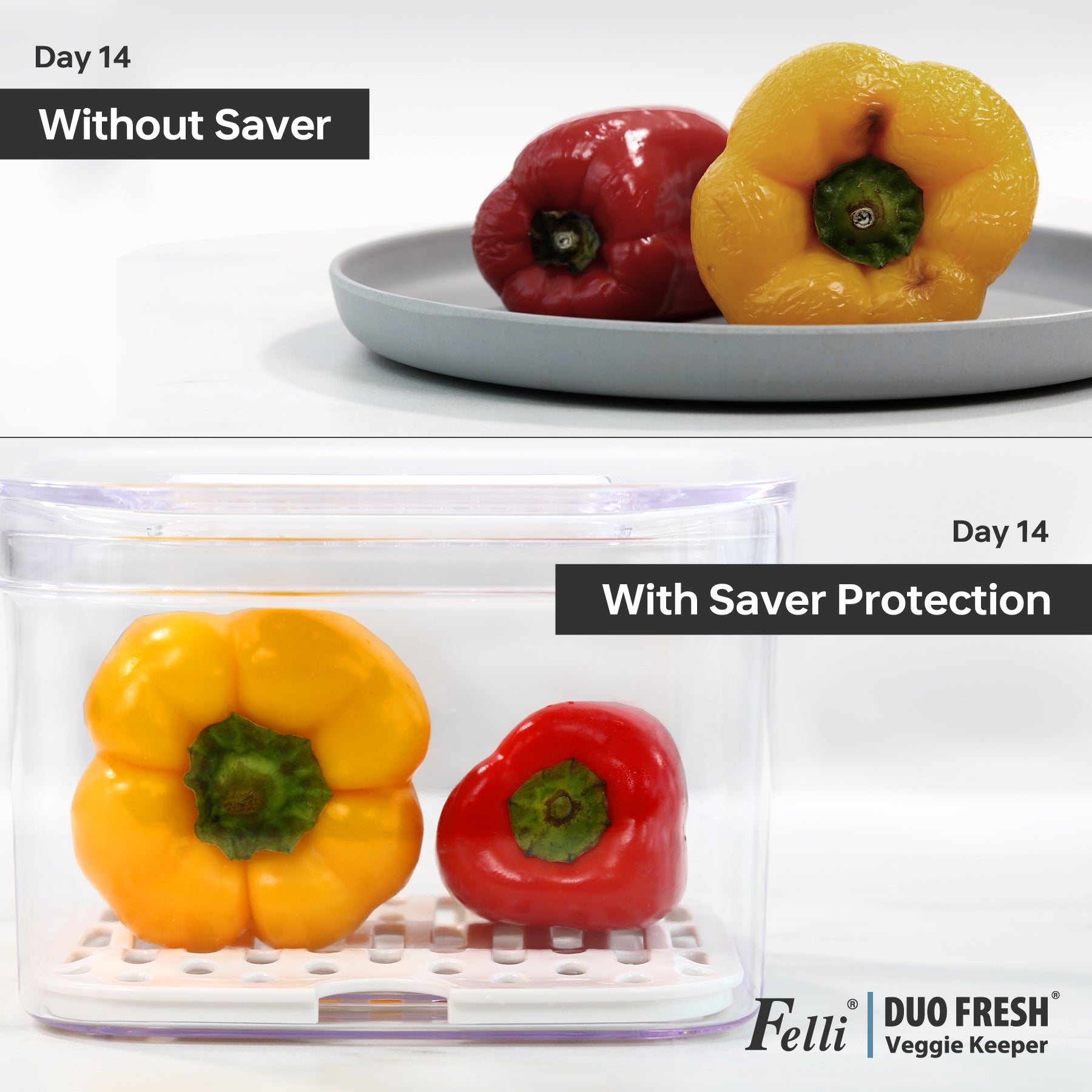 Duo Fresh Veggie Keeper - Large - Felli Official