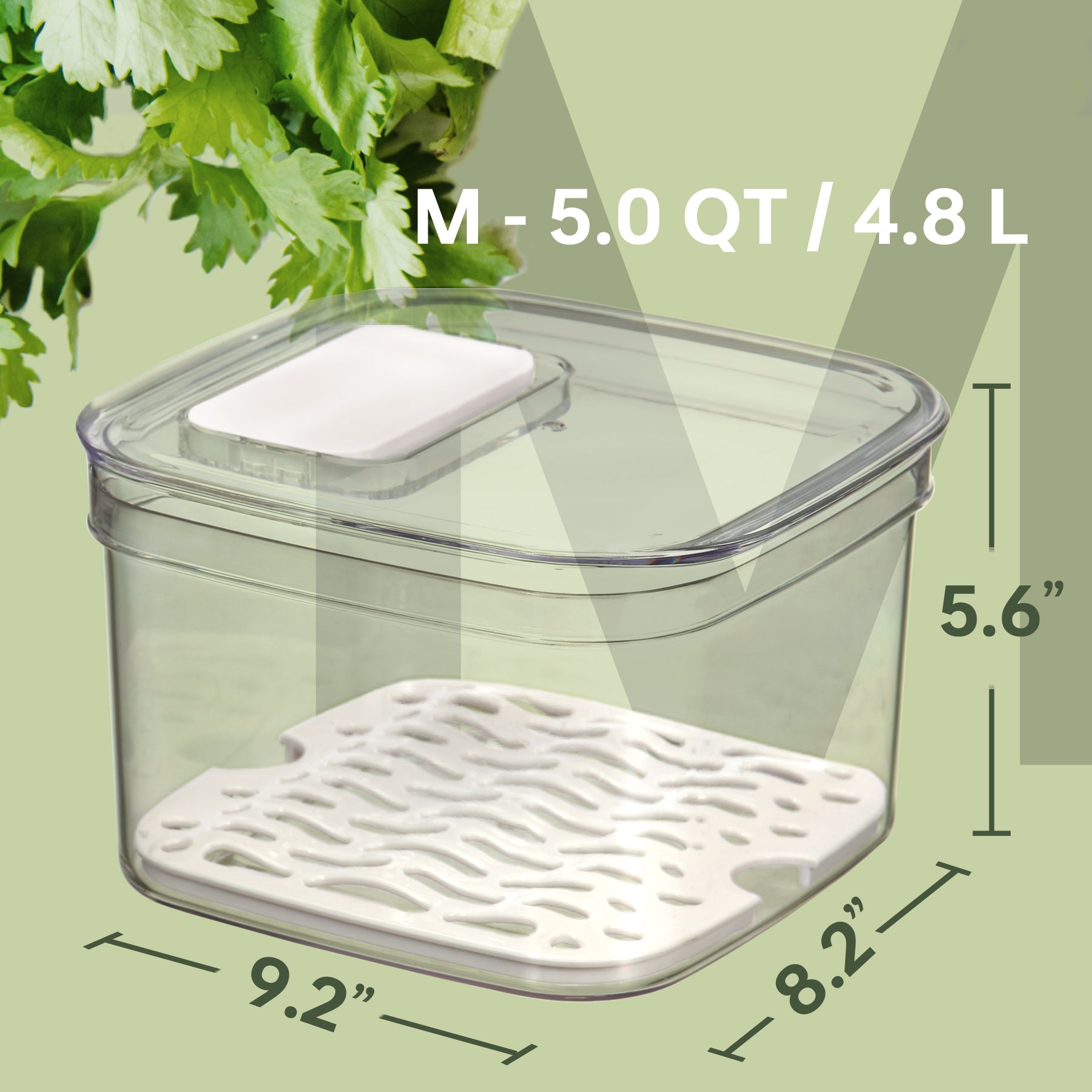 Duo Fresh Veggie Keeper - Medium - Felli Official