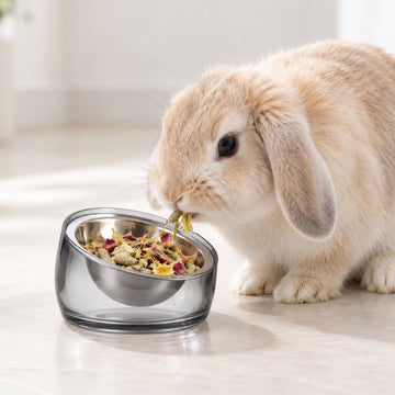 Oblik mini Pet Bowl - 0.75 Cups