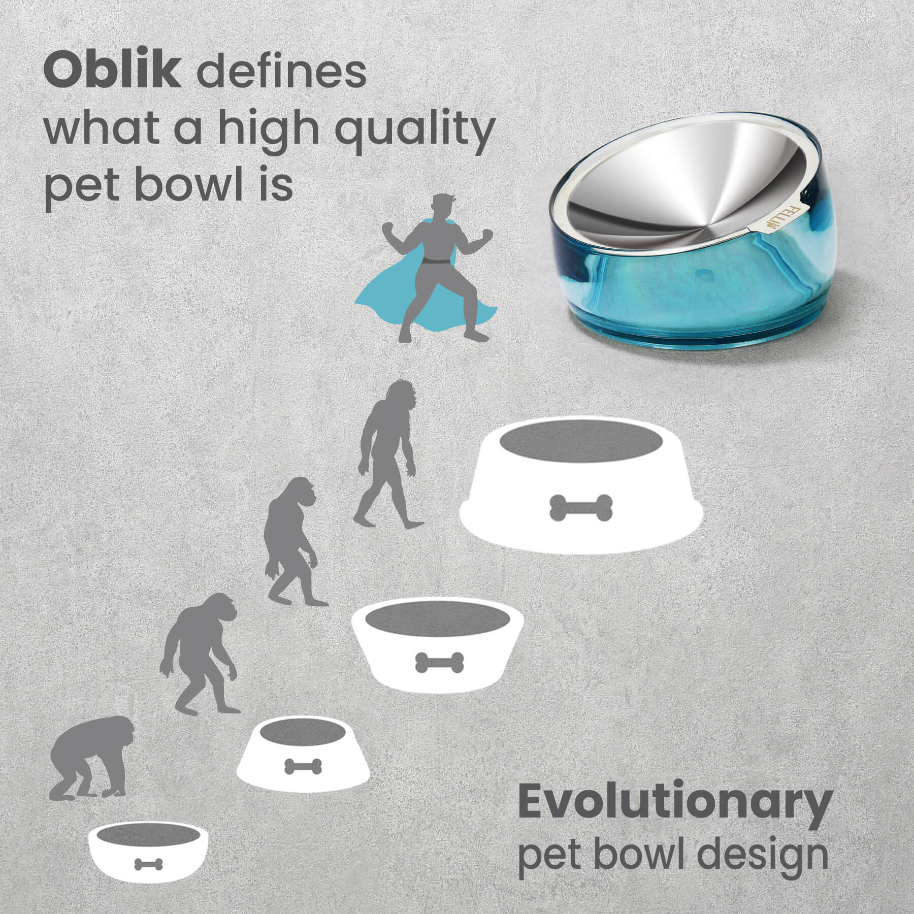 Elevated Dog Bowl Circular Design