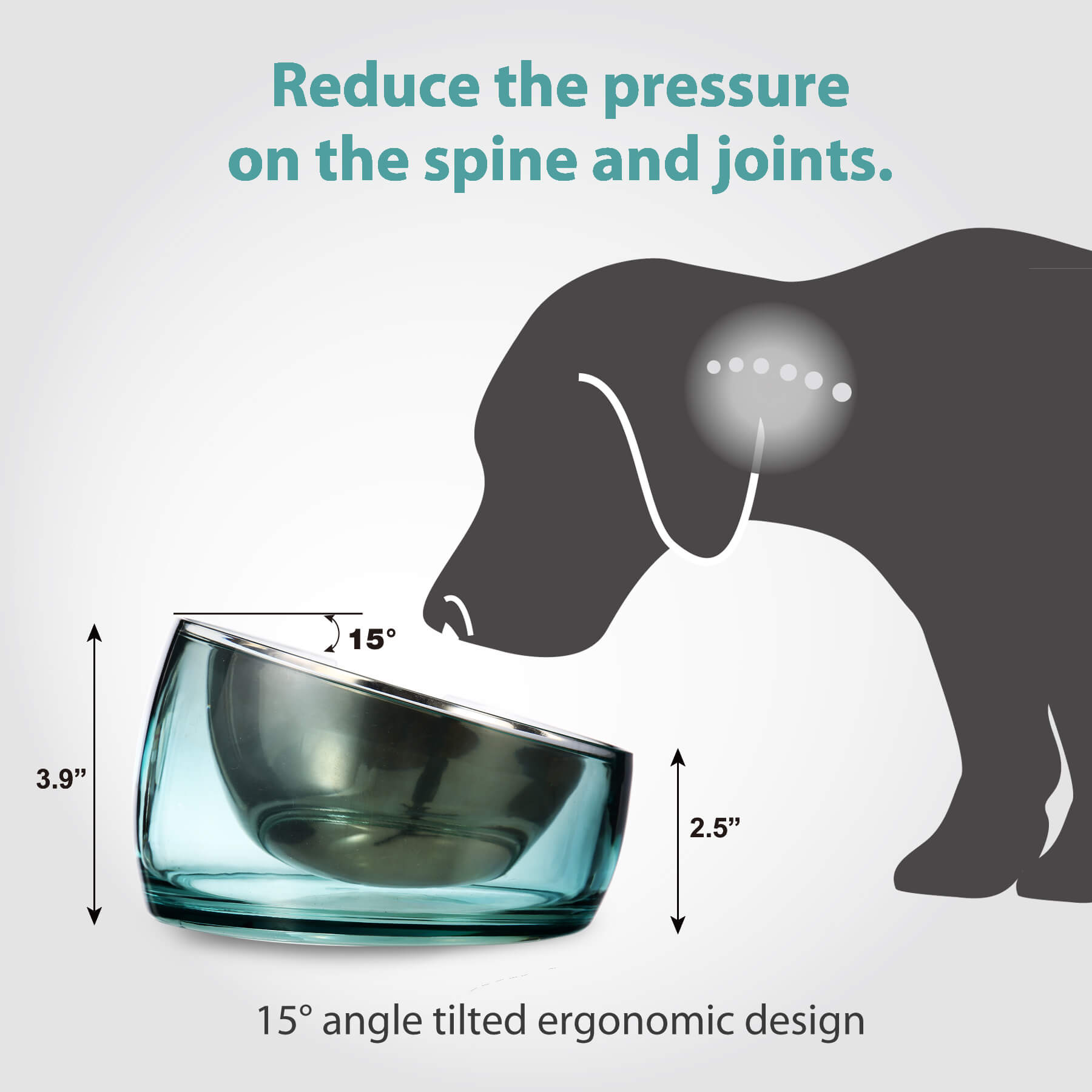 Ergonomic dog best sale bowl
